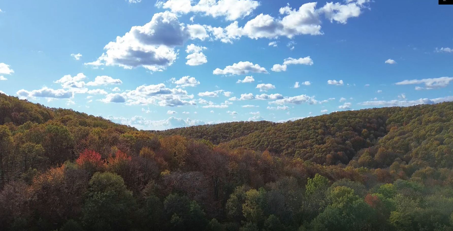 Din frumusețile Șotângii: La Cruce și Stejarul de 1000 ani